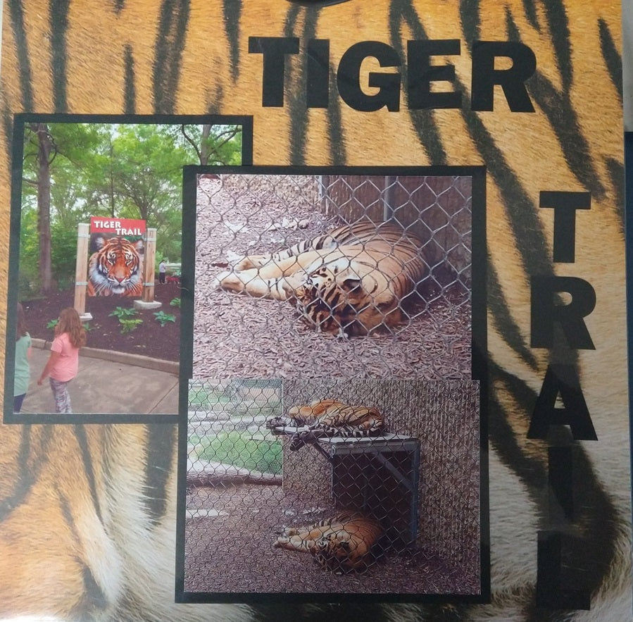 Tiger Trail Scrapbook Layout