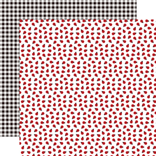 Echo Park Little Ladybugs Scrapbook paper