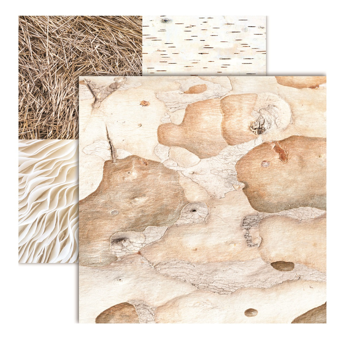 Reminisce Natures Textures all Naturals Paper