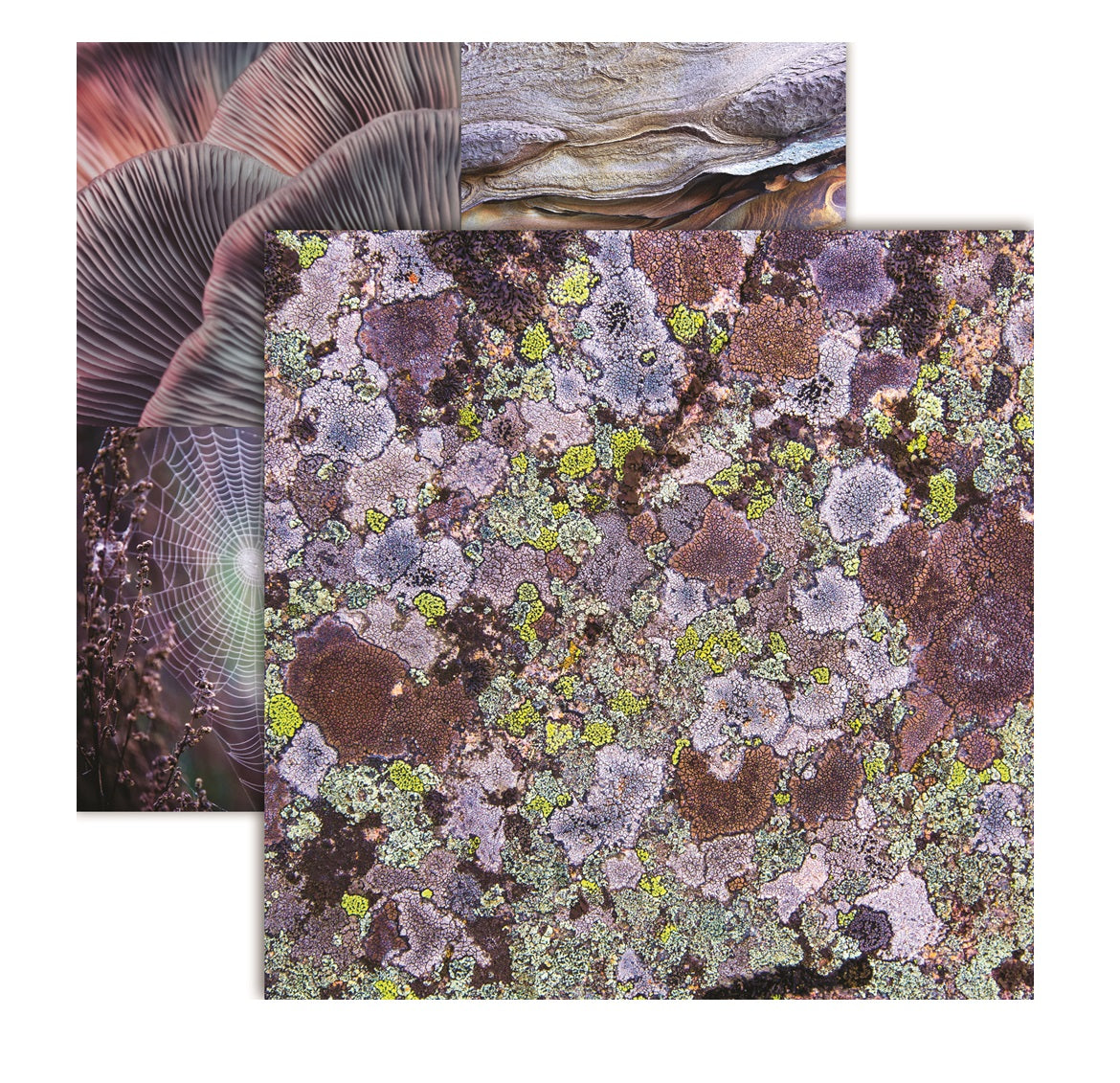 Reminisce Natures Textures Shades of Purple Scrapbook Paper