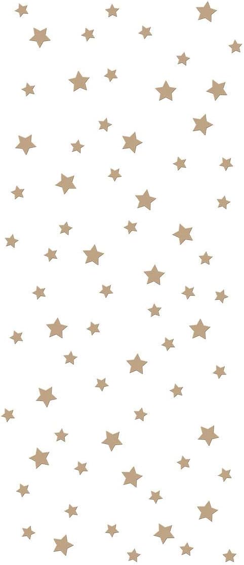 Spellbinders Celestial Star Background Hot Foil Plate