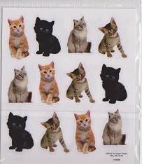 Cat kitten Stickers