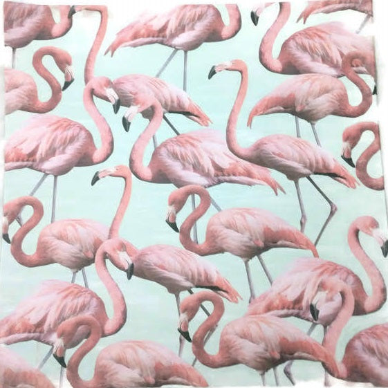 Realistic Flamingos Scrapbook Paper