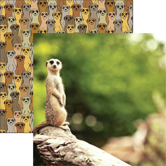 Meercat - King of the Jungle - 12x12 Scrapbook Papers