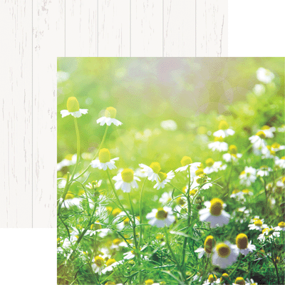 Reminisce Wildflowers Field of Daisies Scrapbook Paper