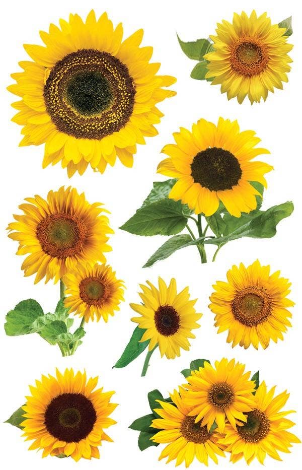 Sunflowers Dimensional Sticker