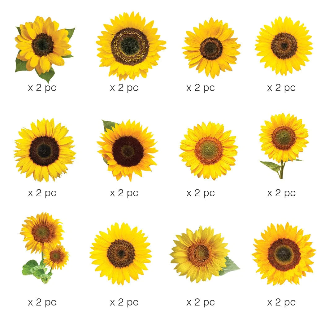 Sunflower Die Cut Stickers - 24 Stickers